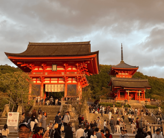 From Osaka or Kyoto : Kyoto & Nara Private Tour - Transportation and Accessibility