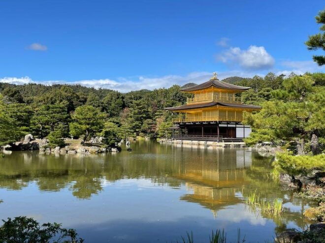 From Osaka or Kyoto : Kyoto & Nara Private Tour - Guided Experience Highlights
