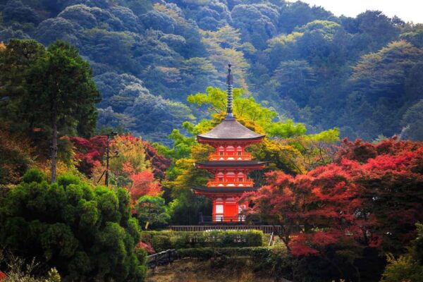 From Osaka or Kyoto : Kyoto & Nara Private Tour - Booking Process and Policies