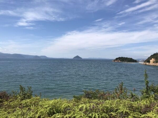 From Osaka or Kyoto: Naoshima Island 2-Day Private Tour - Pricing and Availability