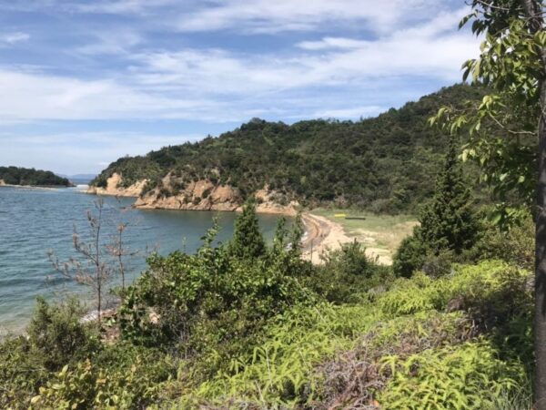 From Osaka or Kyoto: Naoshima Island 2-Day Private Tour - How to Book and Gift the Tour