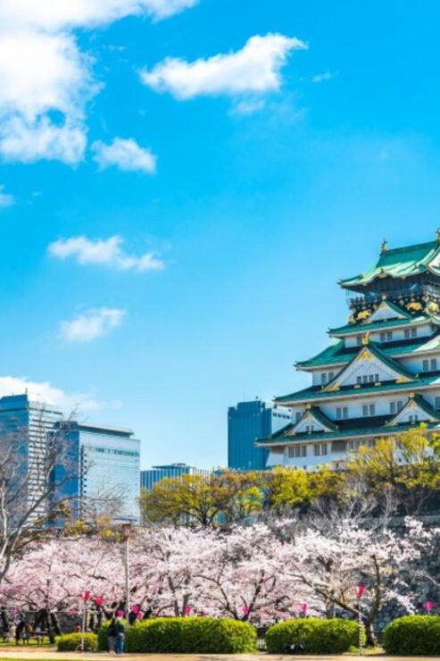 From Osaka: Private Customisable Osaka Full Day Tour By Car - Good To Know