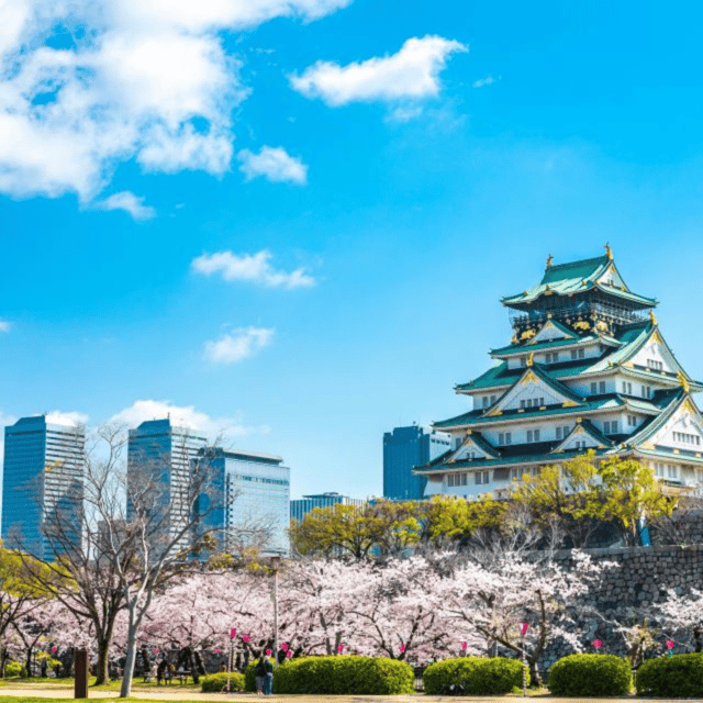 From Osaka: Private Customisable Osaka Full Day Tour By Car - Iconic Osaka Attractions