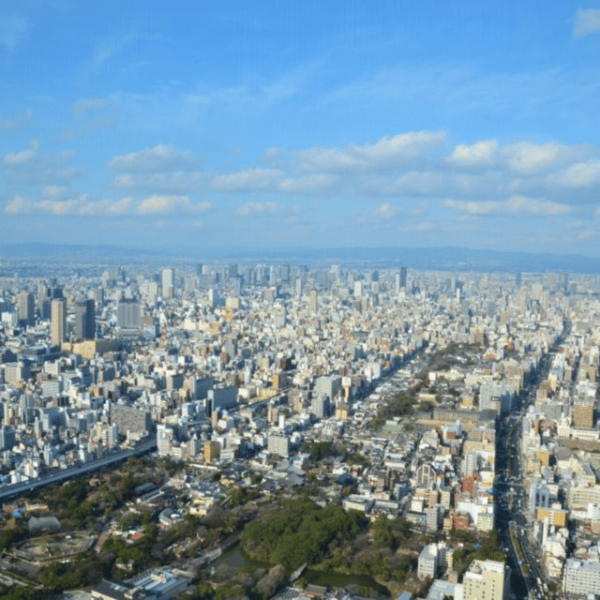 From Osaka: Private Customisable Osaka Full Day Tour By Car - Booking Information