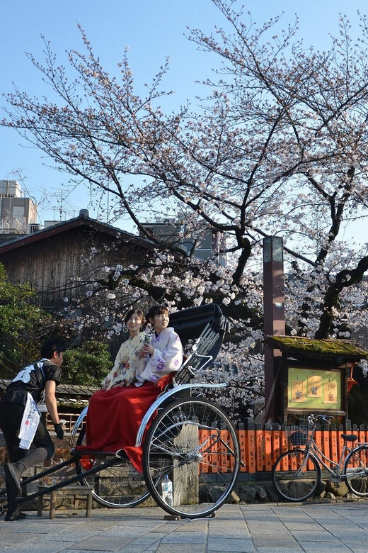 From Osaka: Private Customized Day Tour to Kyoto - Who Should Book This Tour?