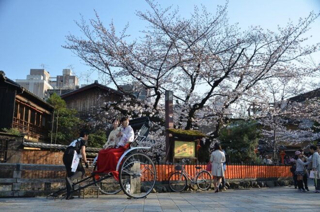 From Osaka: Private Customized Day Tour to Kyoto - Important Information