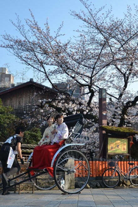 From Osaka: Private Customized Day Tour to Kyoto - Booking Process