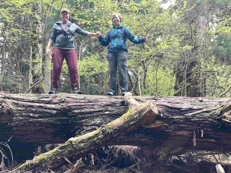 From Osaka: Private Guided Day Trip to Mt.Koya with Vehicle - How to Make the Most of Your Day