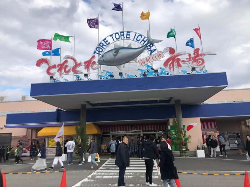 From Osaka: Shirahama Coastal Scenery Day Tour - The Dramatic Sandanbeki Cliffs & Cave