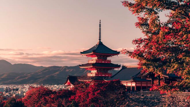 From Osaka to Kyoto and Nara Day Tour With Deer Sightings - Inclusions of the Tour