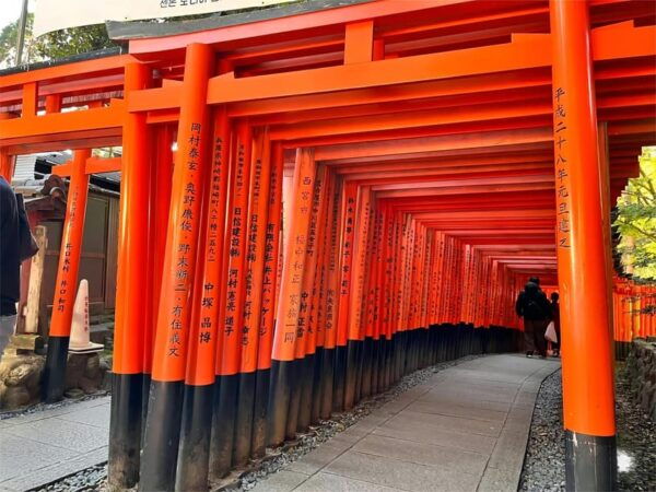 From Osaka to Kyoto and Nara Day Tour With Deer Sightings - Important Information for Travelers