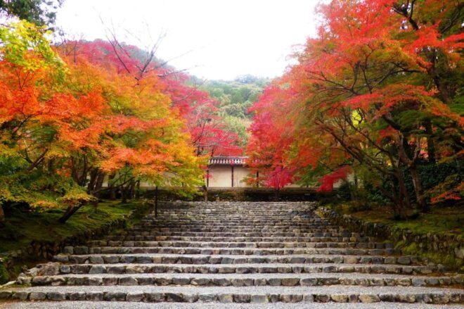 From Osaka to Kyoto: Arashiyama Bamboo Forest Tour - Exploring Arashiyama Bamboo Forest