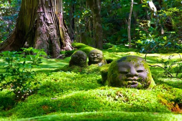 From Osaka to Kyoto: Arashiyama Bamboo Forest Tour - Inclusions and Exclusions