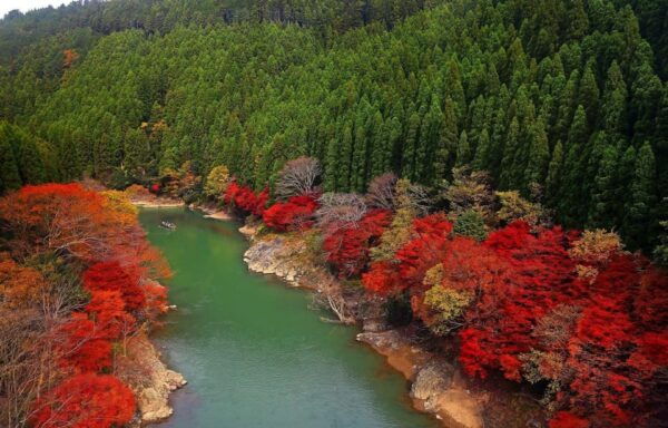 From Osaka to Kyoto: Arashiyama Bamboo Forest Tour - Participant Age Categories