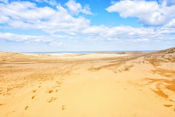 From Osaka: Tottori Sand Dunes Day Tour With English Guide - Highlights of the Tottori Sand Dunes Day Tour