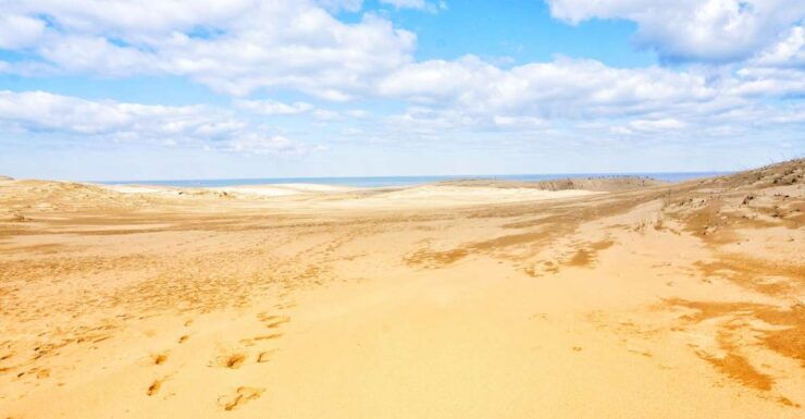 From Osaka: Tottori Sand Dunes,Hakuto Shrine Museum Bus Tour - Activity Details