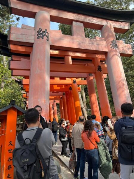 From Osaka:Private Custom Tour to Kyoto - Optional Activities to Enhance Your Tour