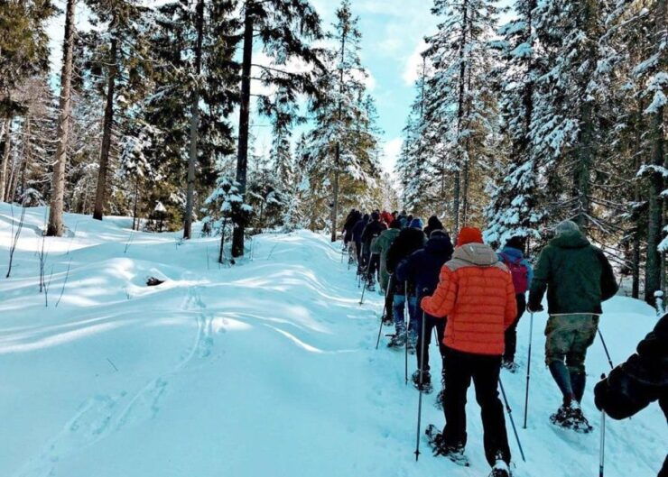 From Oslo: Oslomarka Forest Guided Snowshoeing Tour - Good To Know