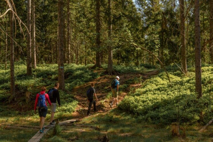 From Oslo: The Nordmarka Challenge! - Good To Know