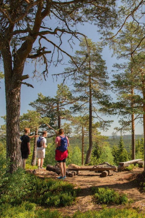 From Oslo: The Nordmarka Challenge! - Tour Highlights
