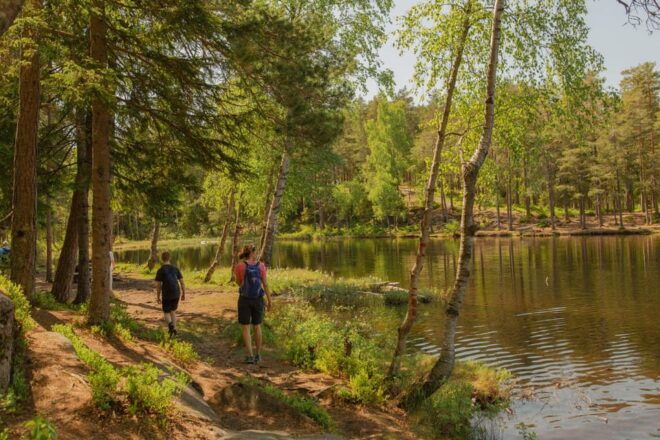 From Oslo: The Nordmarka Challenge! - Important Information