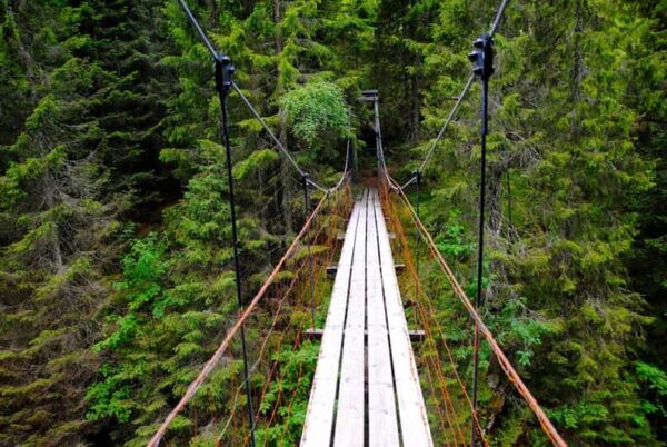From Oslo: The Nordmarka Challenge! - What to Expect on the Hike