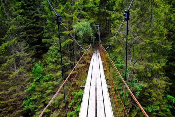 From Oslo: The Nordmarka Challenge! - Additional Information