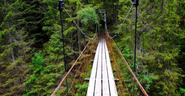 From Oslo: The Nordmarka Challenge! - Frequently Asked Questions