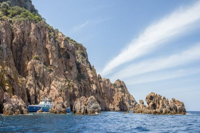 From Ota: Scandola Nature Reserve Eco-Friendly Boat Tour - Customer Reviews
