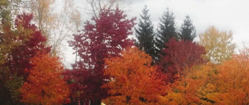 From Ottawa: Gatineau Park Fall Colors Guided Trip - Discover Gatineau Park’s Fall Beauty in Four Hours