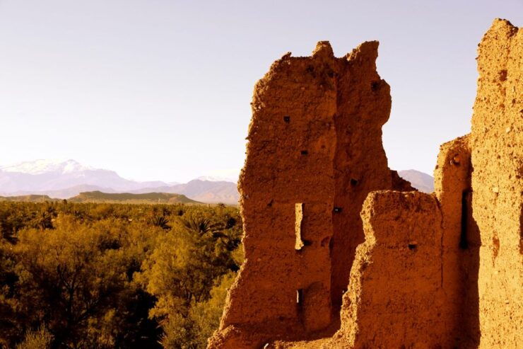 From Ouarzazate: Private Day Trip to Zagora With Camel Ride - Experience Details