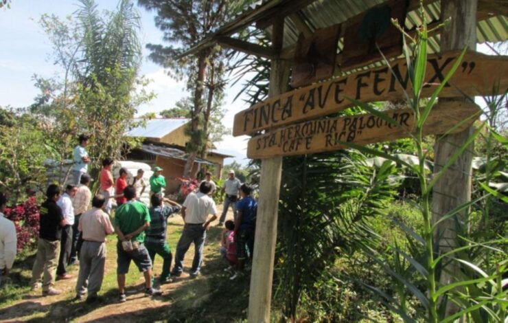 From Oxapampa Villa Rica the Capital of the Coffee Route - Coffee Route Overview