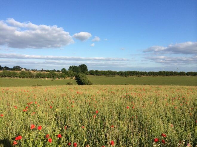 From Oxford: Cotswolds Towns and Villages Small Group Tour - Review Summary