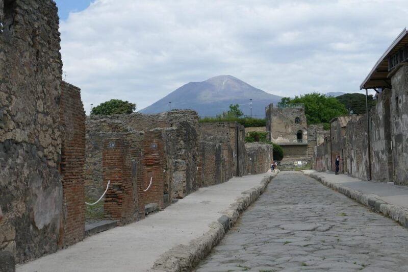 From Paestum:Pompeii guided Tour with Wine Tasting and lunch - Discovering Pompeii from Paestum: A Complete Tour Experience  
