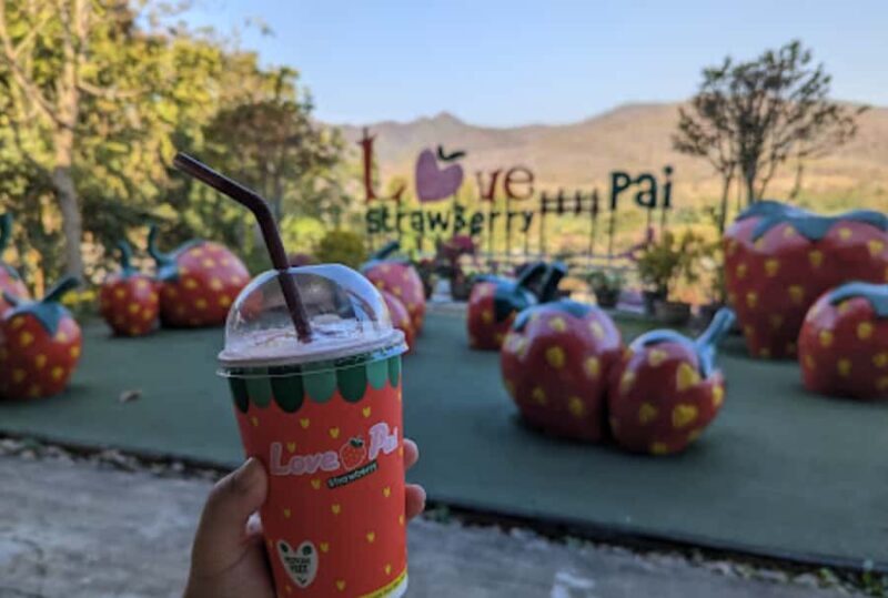 From Pai: Private Highlights Car Day Tour with Pai Canyon - FAQs