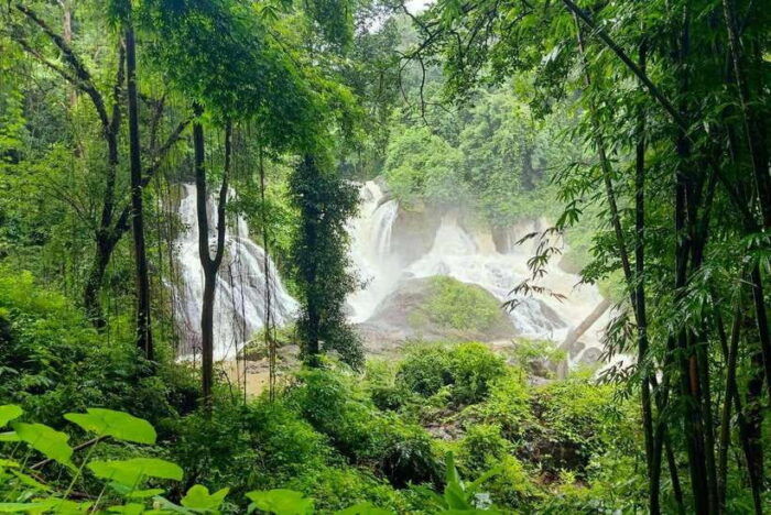 From Pai: Private Mae Hong Son Highlights Car Tour - Natural Wonders of Tham Pla National Park