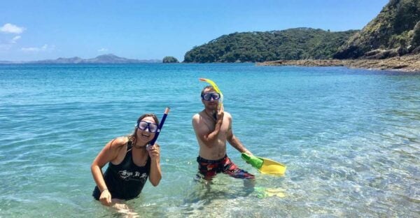 From Paihia: 3.5-Hour Day Cruise and Island Tour - Common Questions