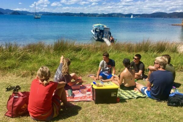 From Paihia: 3.5-Hour Day Cruise and Island Tour - The Sum Up