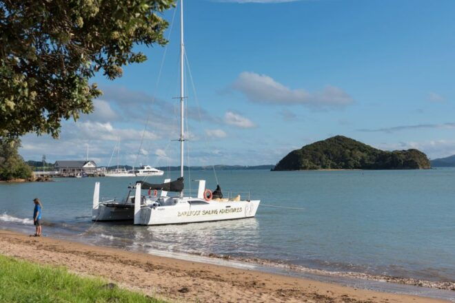 From Paihia: Bay of Islands Island-Hopping Sailing Cruise - Wildlife Encounters