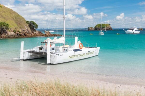 From Paihia: Bay of Islands Island-Hopping Sailing Cruise - Customer Reviews