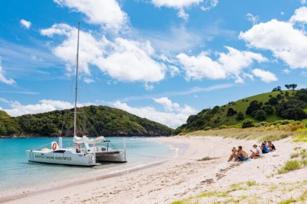 From Paihia: Bay of Islands Island-Hopping Sailing Cruise - Review Summary