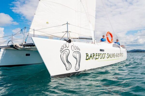 From Paihia: Bay of Islands Island-Hopping Sailing Cruise - Common Questions