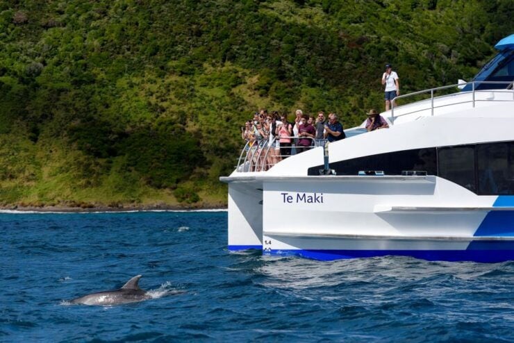 From Paihia: Cream Trip Full-Day Cruise to Bay of Islands - Experience