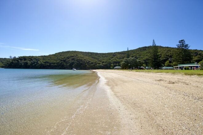 From Paihia: Cream Trip Full-Day Cruise to Bay of Islands - Keep an Eye Out for Dolphins and Whales