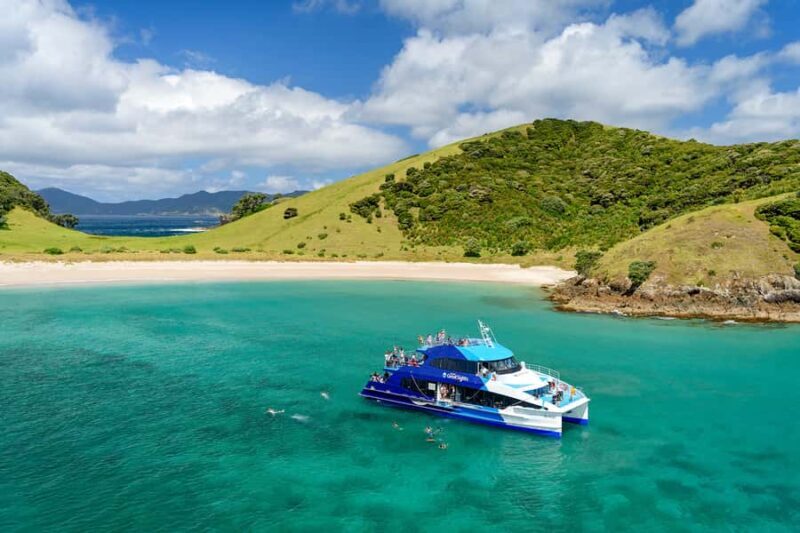 From Paihia: Full-Day Bay of Islands Cruise - Final Thoughts: Is This Tour Worth It?