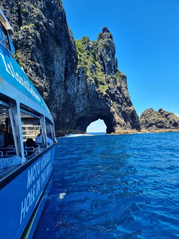 From Paihia: Hole in the Rock Cruise & Island Tour: 3 Hour - Practical Tips for Your Trip  