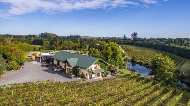 From Paihia or Kerikeri: Bay of Islands Wine Tour - First Stop: Fat Pig Vineyard