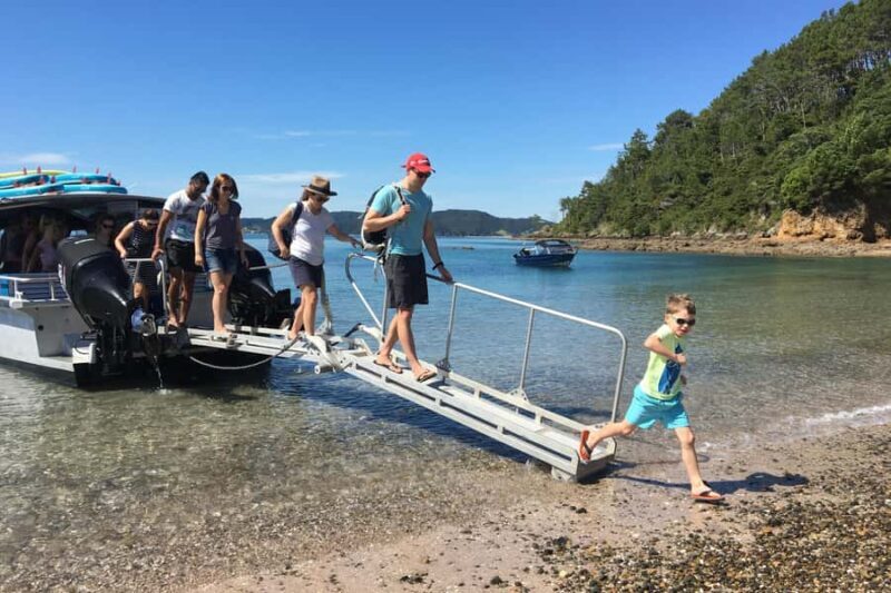From Paihia: Scenic Cruise with Roberton Island Stopover - The Boat and Comfort