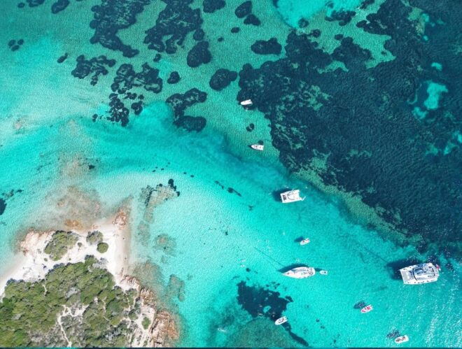 From Palau: La Maddalena Archipelago Catamaran Tour - What to Bring