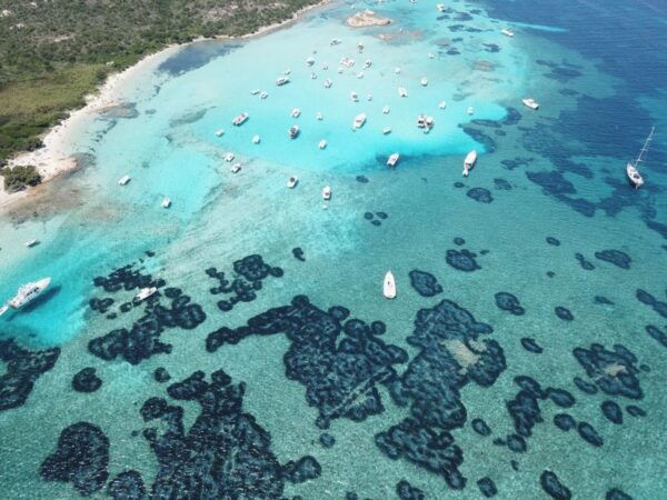 From Palau: La Maddalena Islands Half-Day Rubber Boat Tour - Frequently Asked Questions